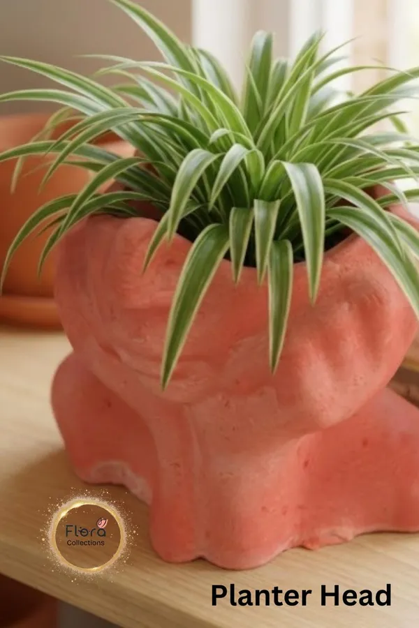 Lady_Planter_Head_Multi_Use_Gypsum_Art_Piece_Planter_Pen_Stand_Home_Decor